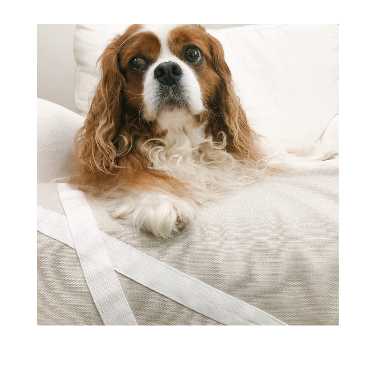Fursatile Decor Tan + White Large, Tan + White Cover