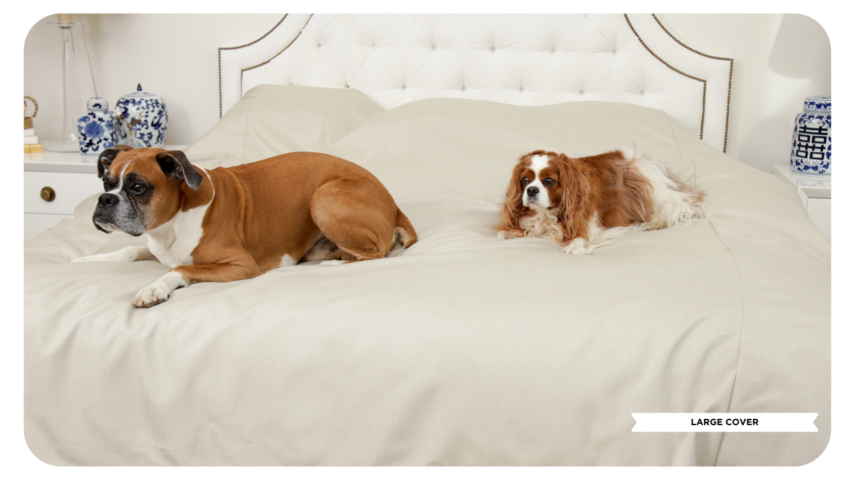 Fursatile Decor Tan + White Large, Tan + White Cover