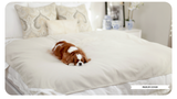 Fursatile Decor Tan + White Medium, Tan + White  Cover