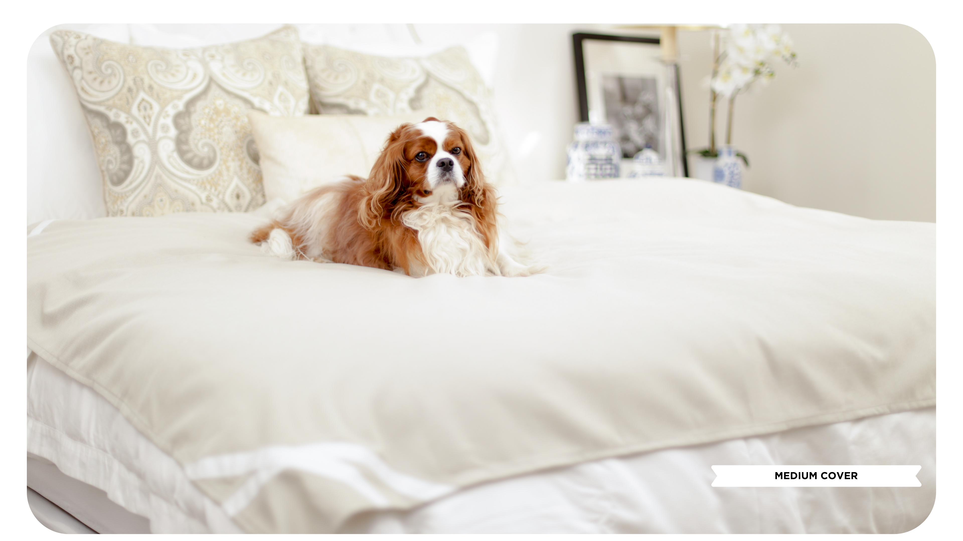 Fursatile Decor Tan + White Medium, Tan + White Cover