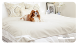 Fursatile Decor Tan + White Medium, Tan + White  Cover