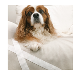 Fursatile Decor Tan + White, Small, $89 Small, Tan + White Cover