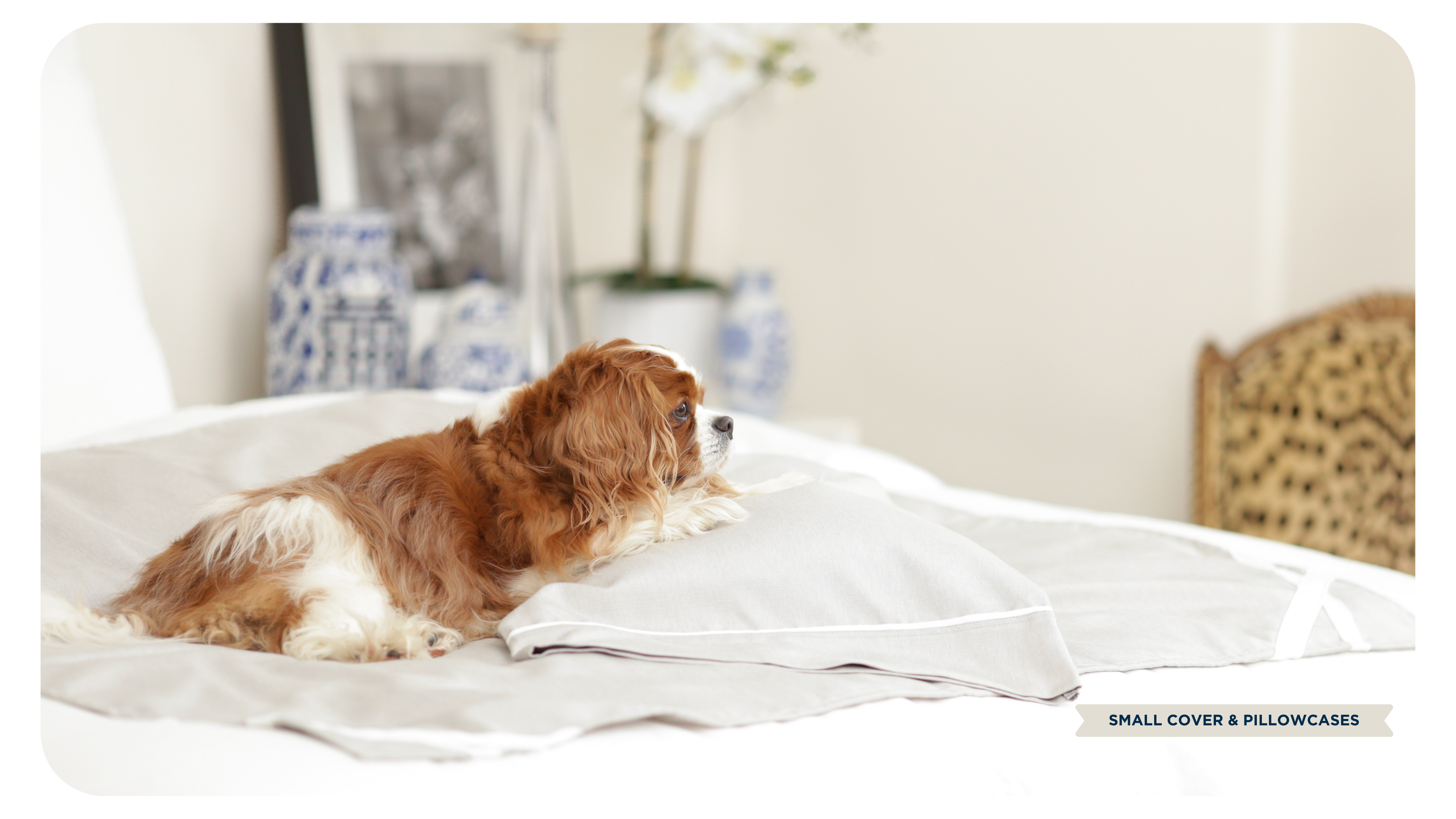 Fursatile Decor Gray + White, Small, $89 Small, Gray + White Cover