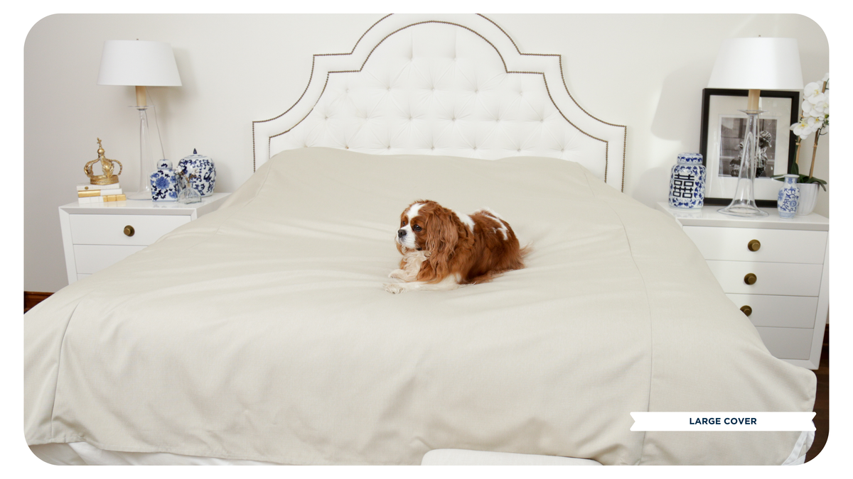 Fursatile Decor Tan + White Large, Tan + White Cover