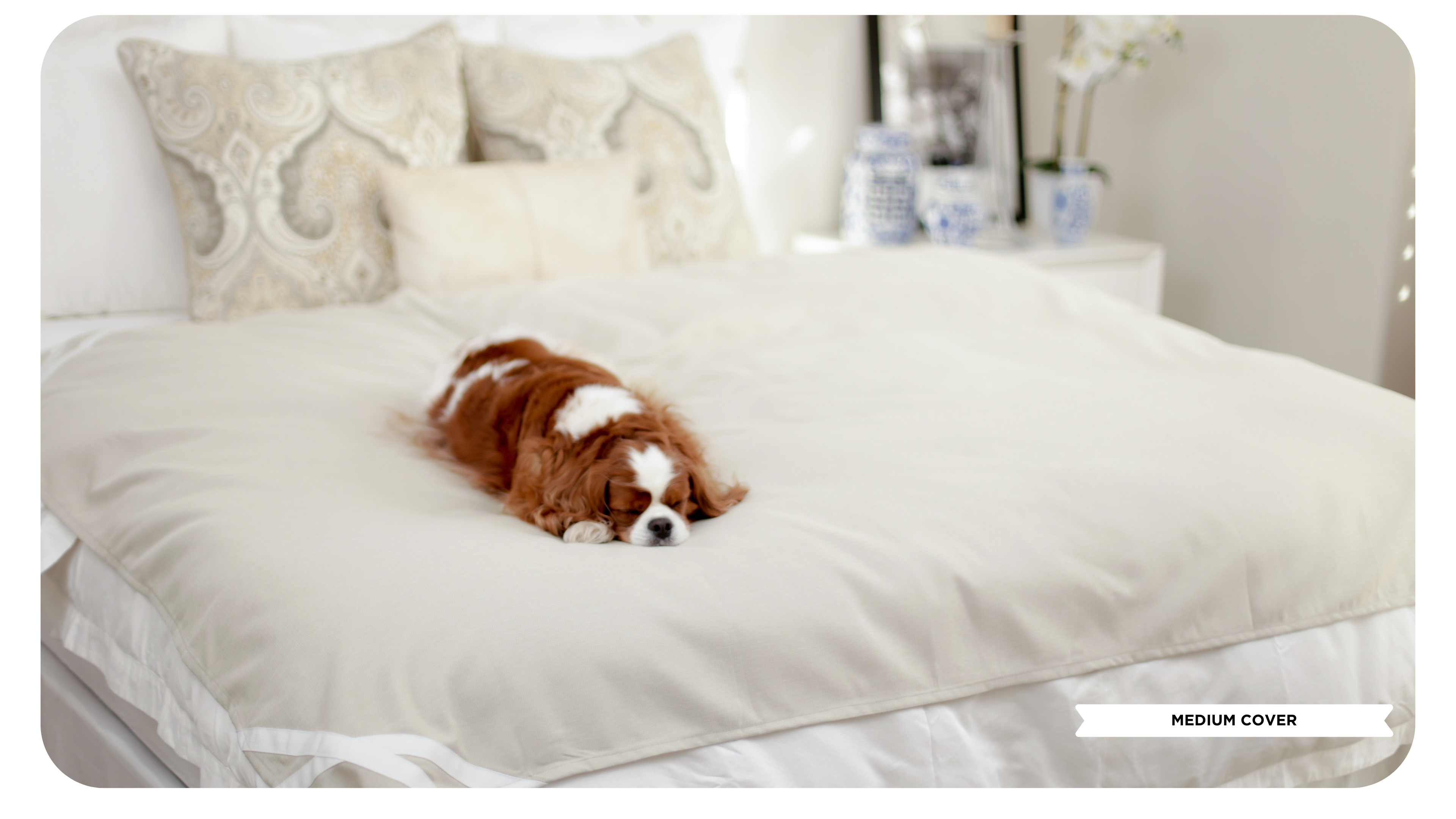 Fursatile Decor Tan + White Medium, Tan + White  Cover
